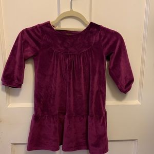 Excellent condition Tea velvet dress size 5